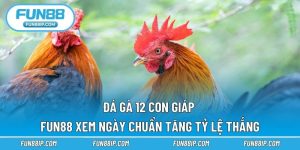 Đá Gà 12 Con Giáp