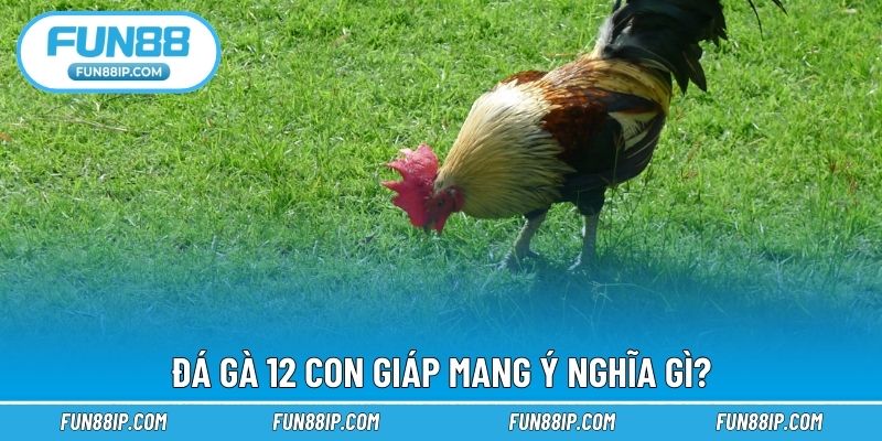 Đá gà 12 con giáp mang ý nghĩa gì?