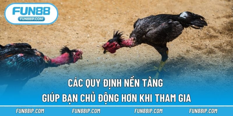 Các quy định nền tảng giúp bạn chủ động hơn khi tham gia