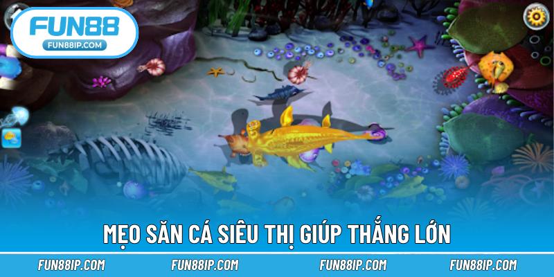 Mẹo săn cá siêu thị giúp thắng lớn