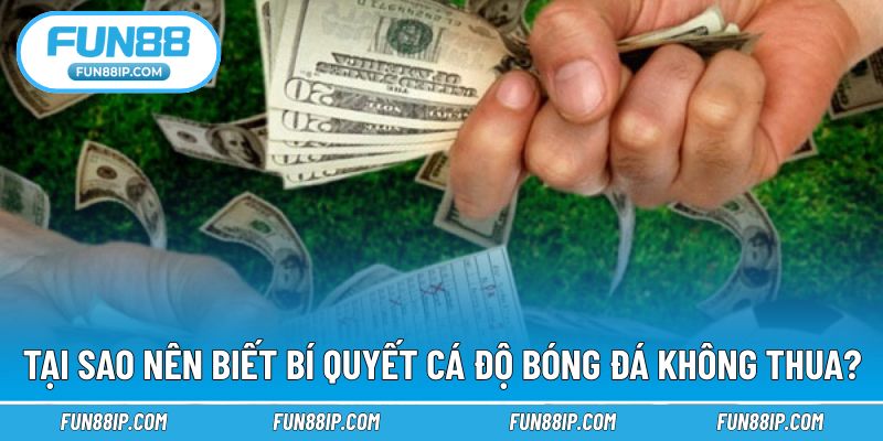 Lý do nên bỏ túi bí quyết cược bóng đá thắng lớn